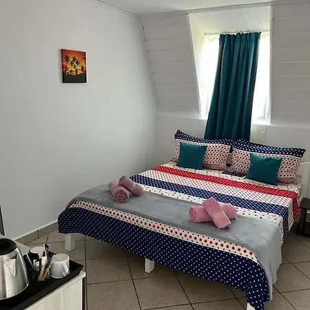 Guest house Mirela 2*