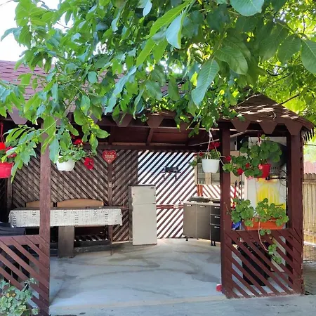 Mirela Guest house Costinesti