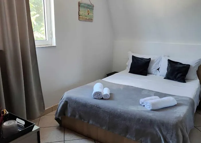 Mirela Guest house 2*