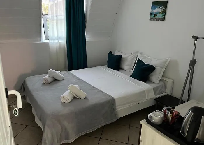 Mirela Guest house Costinesti