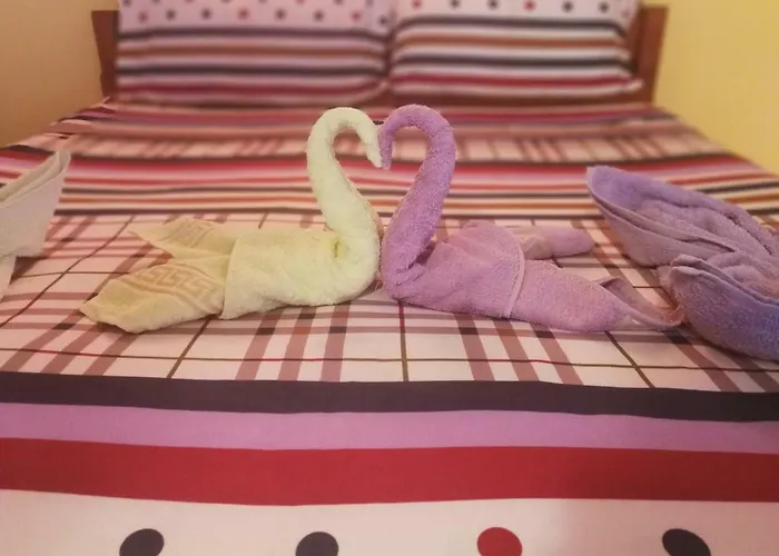 Guest house Mirela Costinesti